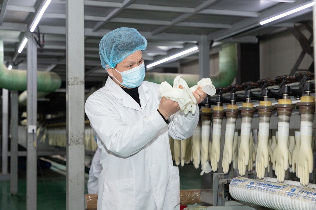  Medical Gloves Manufacturer Company slider image