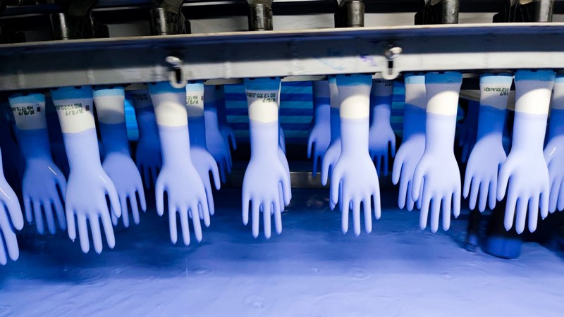  Medical Gloves Manufacturer Company slider image